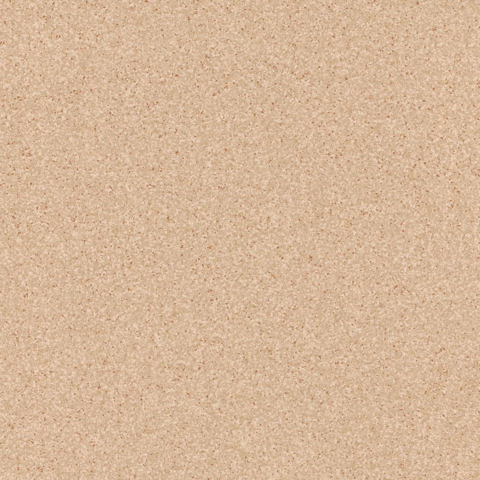 Primo_Plus-depot_302-1
