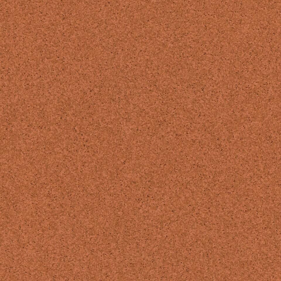 Primo_Plus-m_305-1