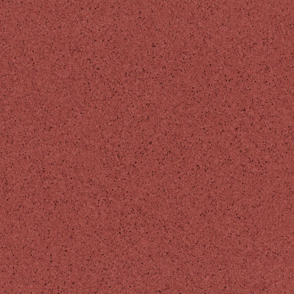 Primo_Plus-m_306-1
