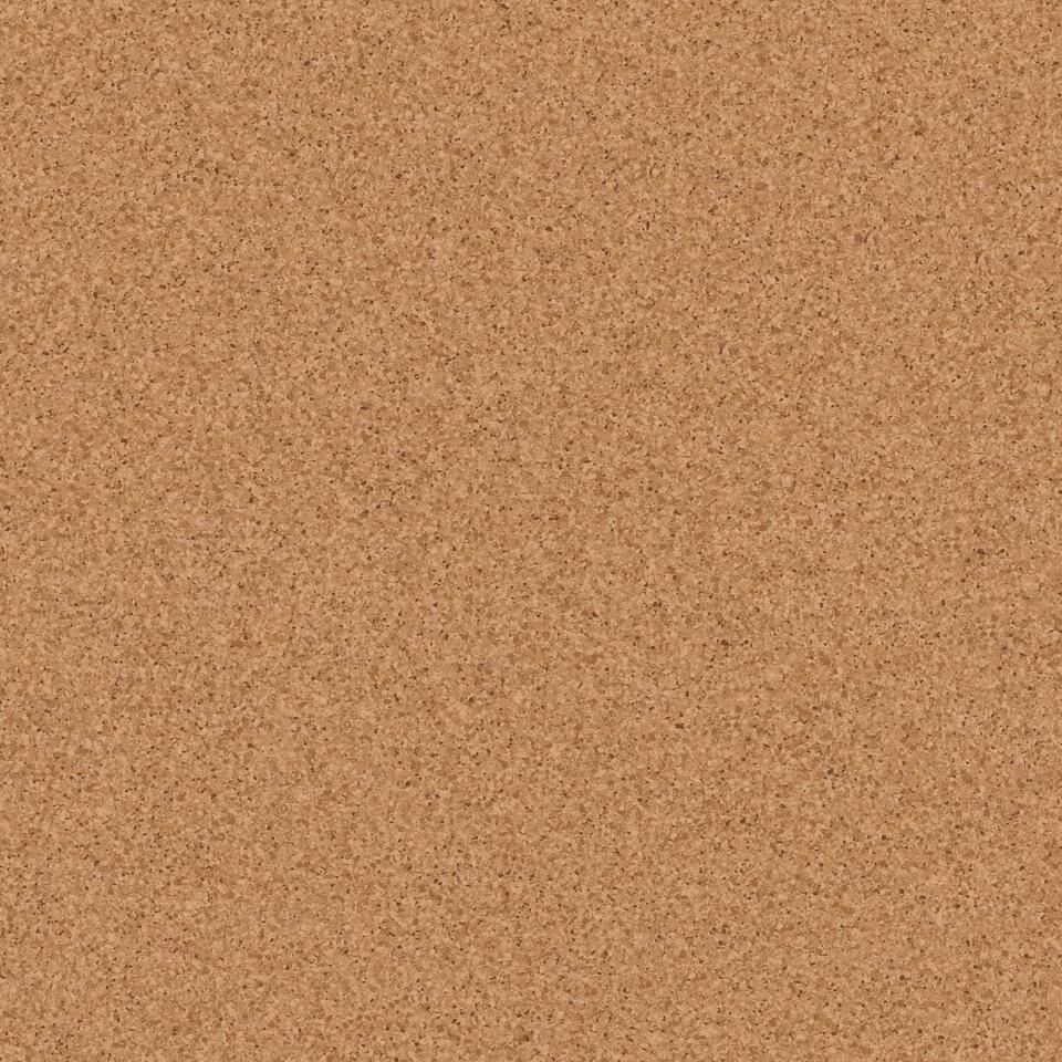 Primo_Plus_303-1