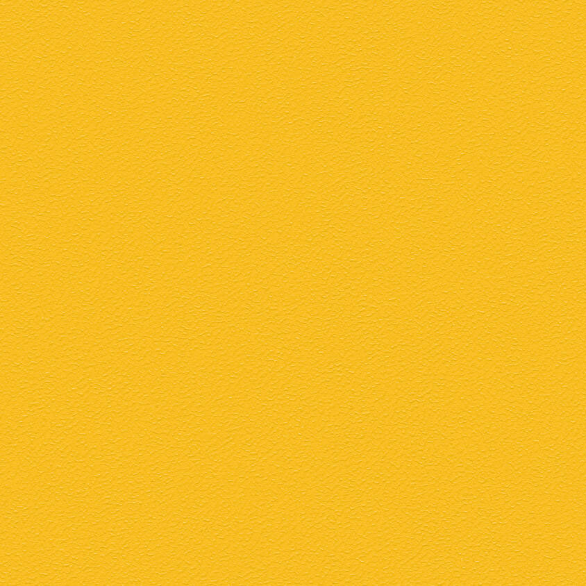 THH_Omnisports_Action_65_Yellow-1